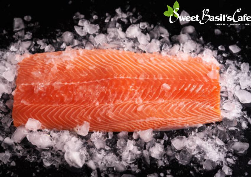 Know How Long Can You Freeze Salmon
