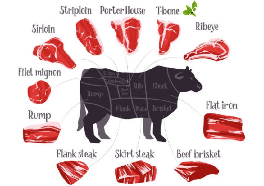 Where Does Steak Come From