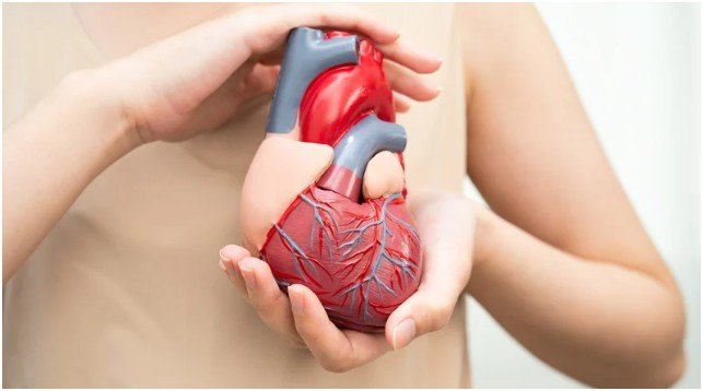 Why Does Heart Disease Risk Matter?