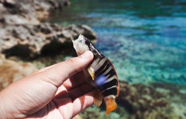 Maintaining Environmental Responsibility During Visits