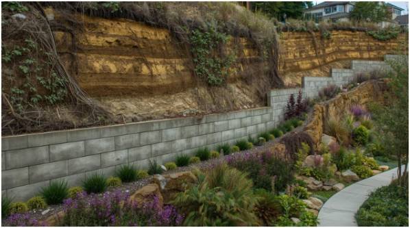 Case Studies and Implementation