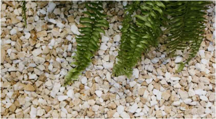 When to Use Chat Rock Instead of Pea Gravel or Crushed Stone